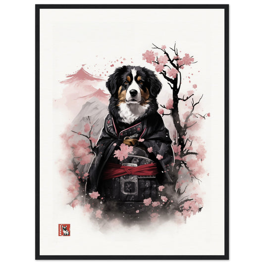 Bernese Mountain Dog Samurai II